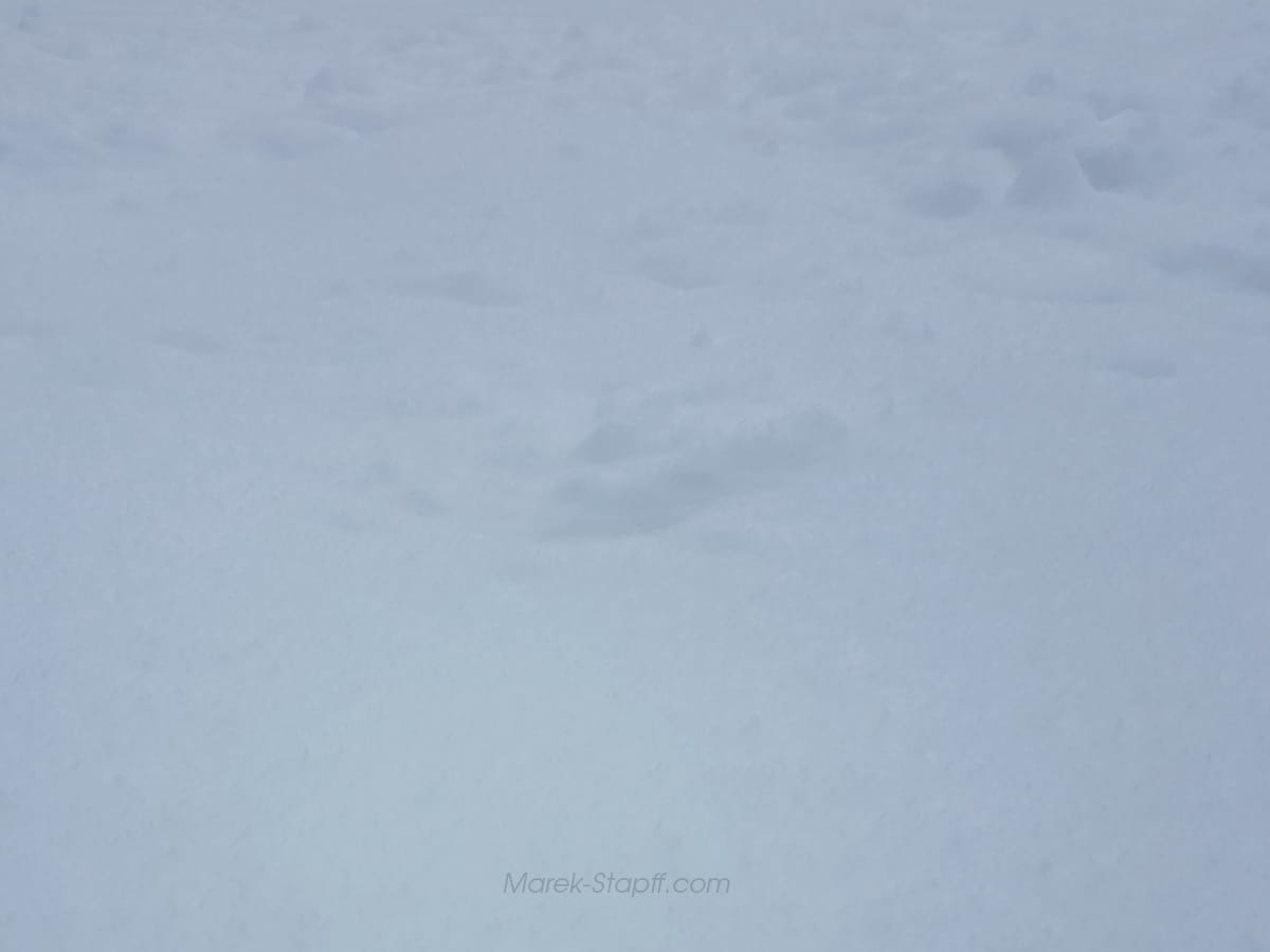 Weiße Schneelandschaft im Erzgebirge während eines Schneesturms